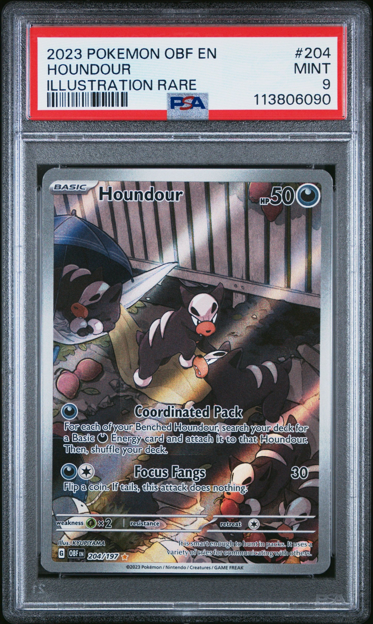 Houndour 2023 Pokemon Scarlet & Violet Obsidian Flames Illustration Rare PSA 9 #204